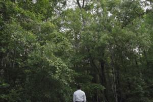 man faces forrest wall in the south