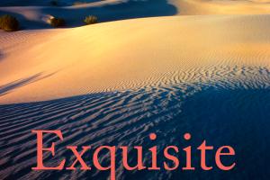 Sand dunes of a vast desert