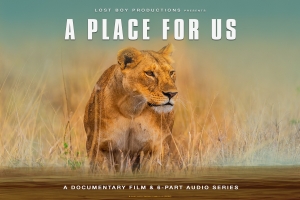 An image of a lion standing in dry grassland, with the text A Place For Us written above it in white