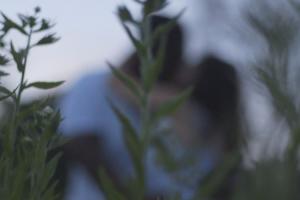 A couple kissing at sunset in a field of grass