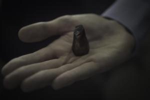 A hand shows of a 3D printed animal horn.