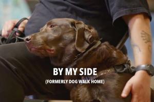 Man in folding chair places his tattooed arm around a chocolate lab service dog. 