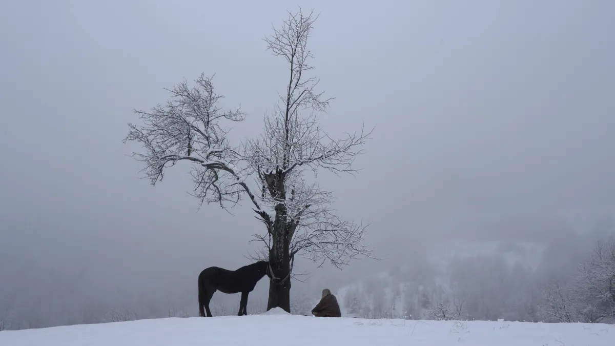 long shot of a person and a horse silhouetted in a snowy landscape